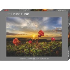 Puzzle Cloudberries 1000 Heye