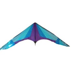 Drachen Galaxy 310x130cm.Carbon St.Knoop