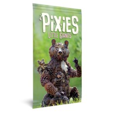 Pixies -Little Giants Erweit. Nur NL Pixies -Little Giants Erweit. Nur NL