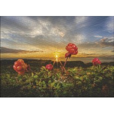 Puzzle Cloudberries 1000 Heye