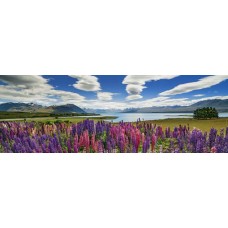 Puzzle Lake Tekapo 1000 Panor.Heye 29902