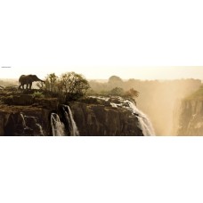 Puzzle Elephant 1000 Panorama Heye 29287