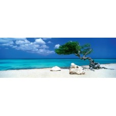 Puzzle Divi Divi Tree,1000 Pano.Heye 29399