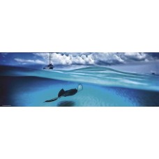 Puzzle,Stingray,Humb.1000 Pan.Heye 29470
