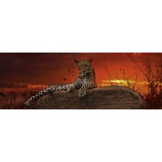 Puzzle Red Dawn,Hum.2000 Pan.Heye 29608