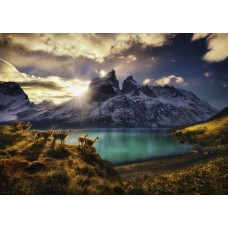Puzzle Guanacos 1000 Teile Heye 29815