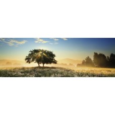 Puzz.Play of Light 1000 Pan.Heye 29901