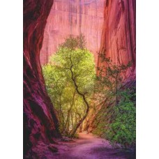 Puzzle,Singing Canyon 1000 Heye 29944