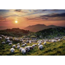 Puzzle Sheep Volcanoes 1000 T.Heye 29977